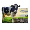 Monitor de ojo desnudo 4K 3D de 65 pulgadas sin prisma en columnas de gafas 3840x2160 1