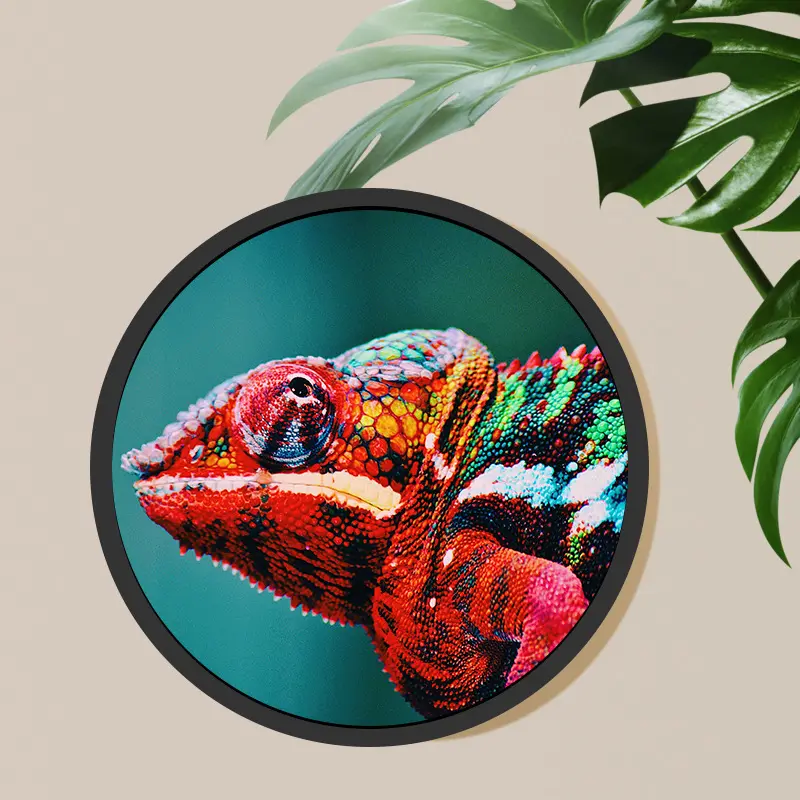 Custom Lcd Display Manufacturer - - Clientop-3 4