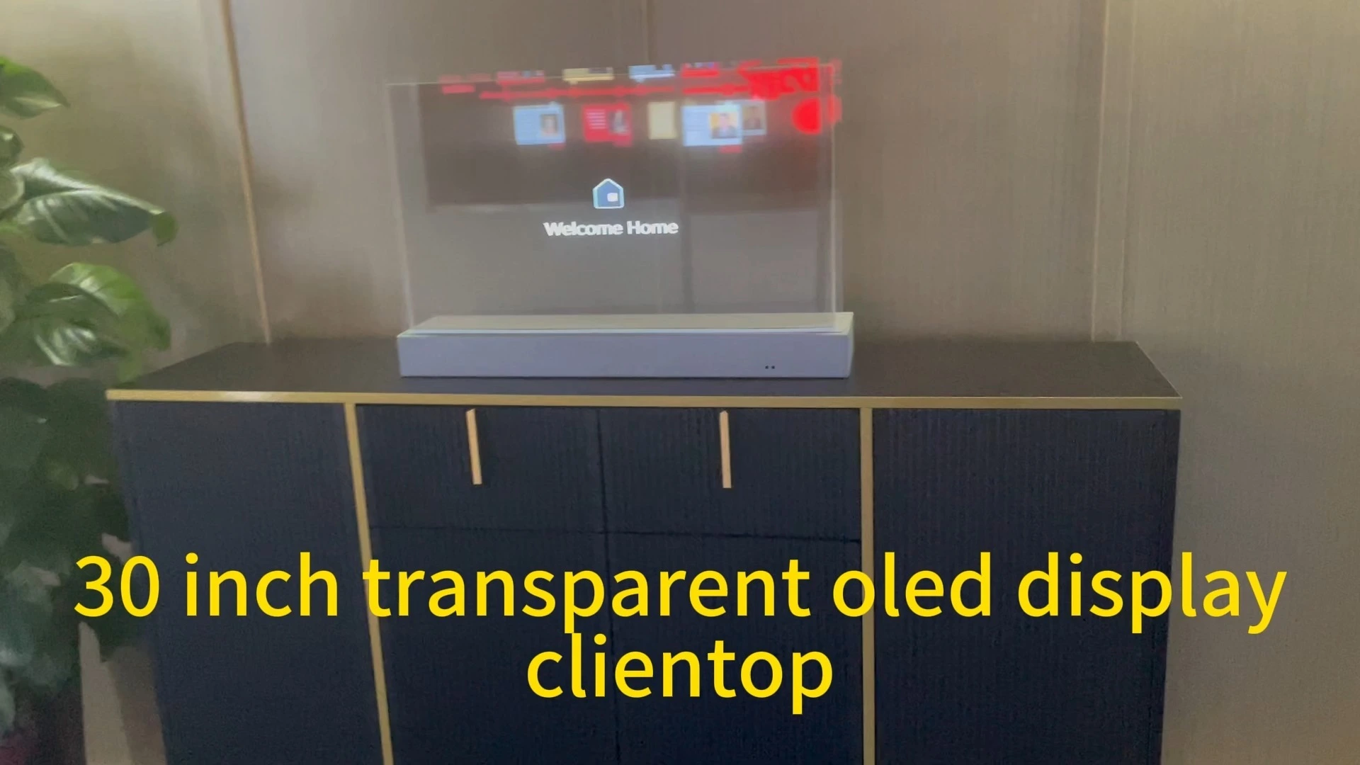 custom 30 inch touch screen transparent oled display 1