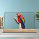 Lcd Screen Supplier by Clientop-3 4