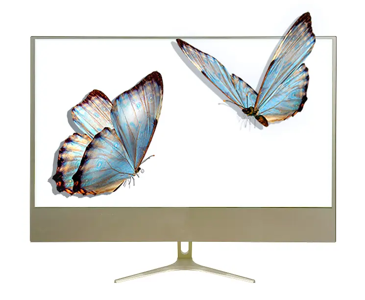 Translucent Lcd Screen by Clientop 2