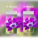 High Brightness Lcd Monitor - - Clientop 5