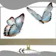 Translucent Lcd Screen by Clientop 1