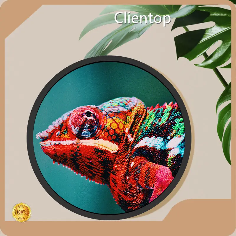 Large Round Lcd Display by Clientop 1