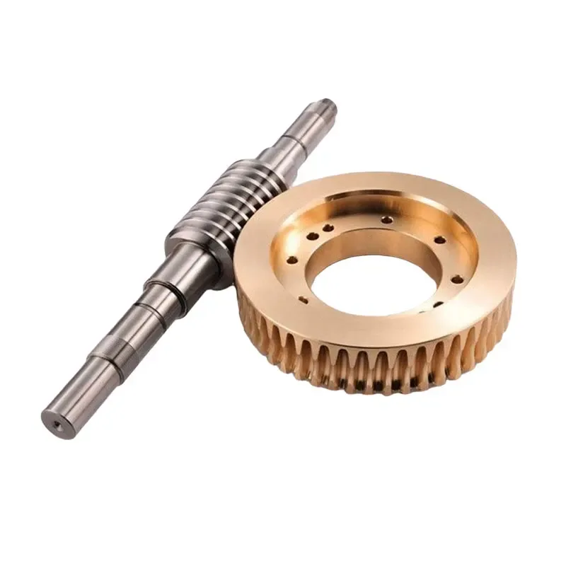Factory Oem High Precision Brass Stainless Steel Worm Gear 1