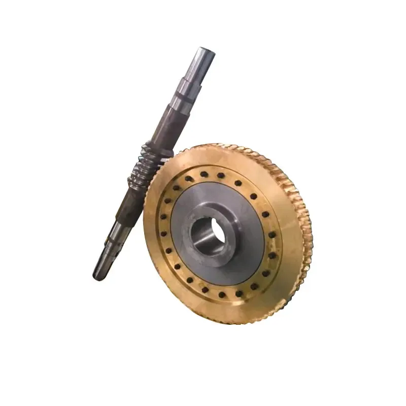 Custom Worm Gears Shaft Small Stainless Steel Worm Wheel Gear 1