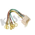 KLS12-212-8P Wired Modular Jack 1