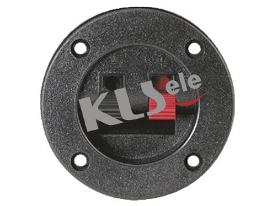 KLS1-WP-2P-04A      Spring Terminals Speaker Video Connectors 1