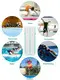 Professional Water Toys for Pool for Summer 3