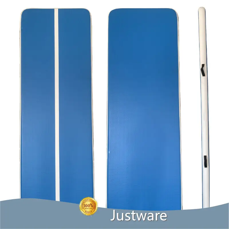 Professional Pool Toys for Adults for Summer 1