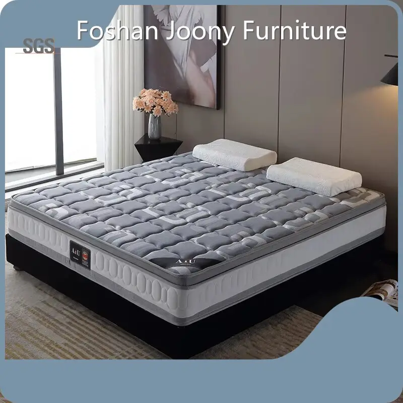 Pocket Spring Manufacturer for Apartment Factory 1