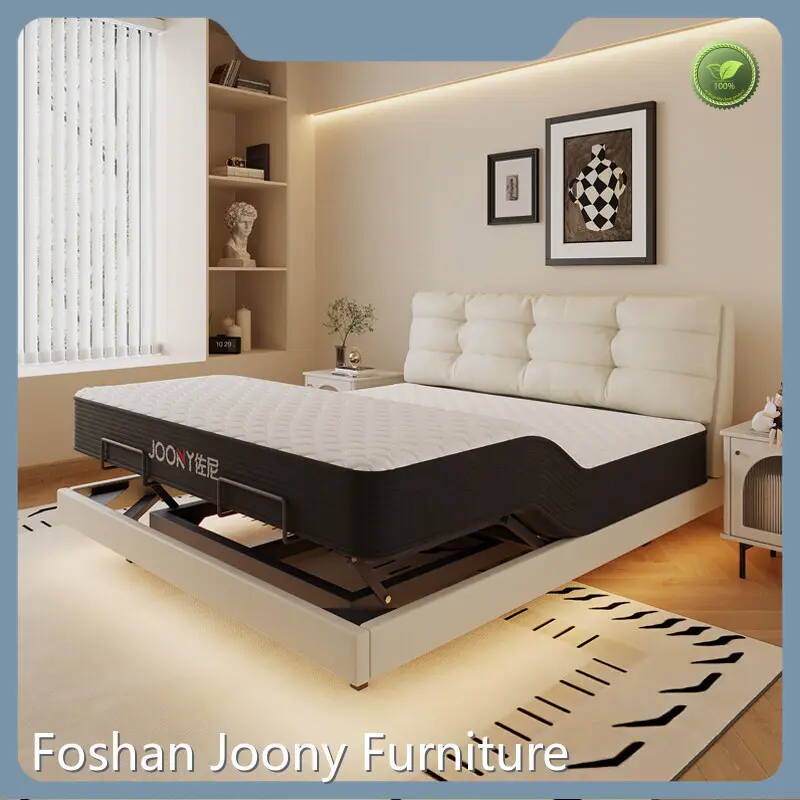 Bulkluxury Queen Mattress for Home 1