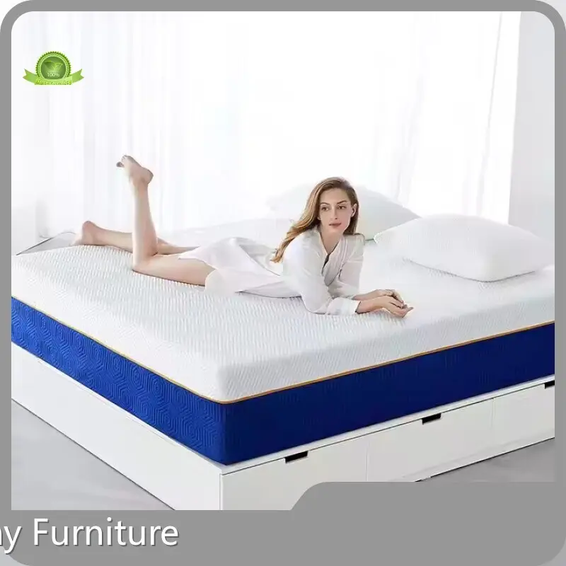 OEM/ODM Foam Mattress Company for Home 1