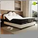For Apartment Electric Bed Mattress by Joony Mattress 1