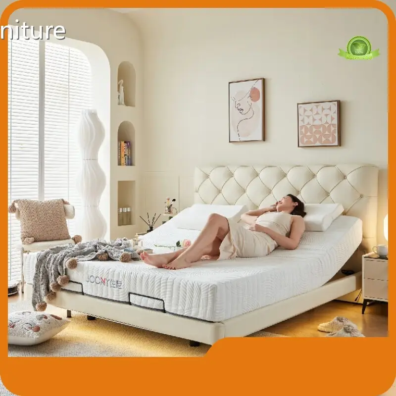 Luxury Luxury Queen Mattress Company for Apartment 1