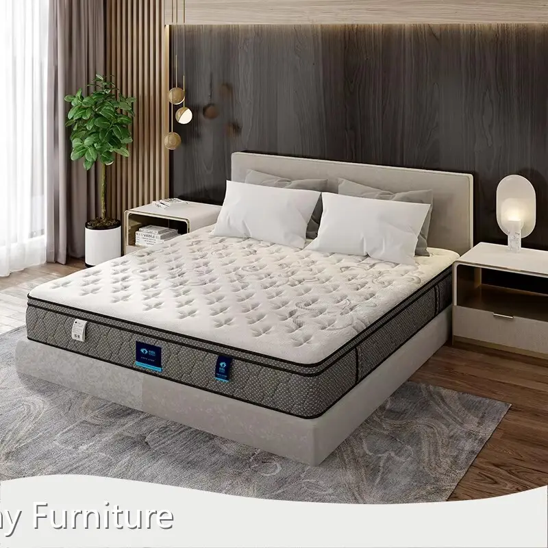 Luxury Queen Mattress for Apartment Factory 1