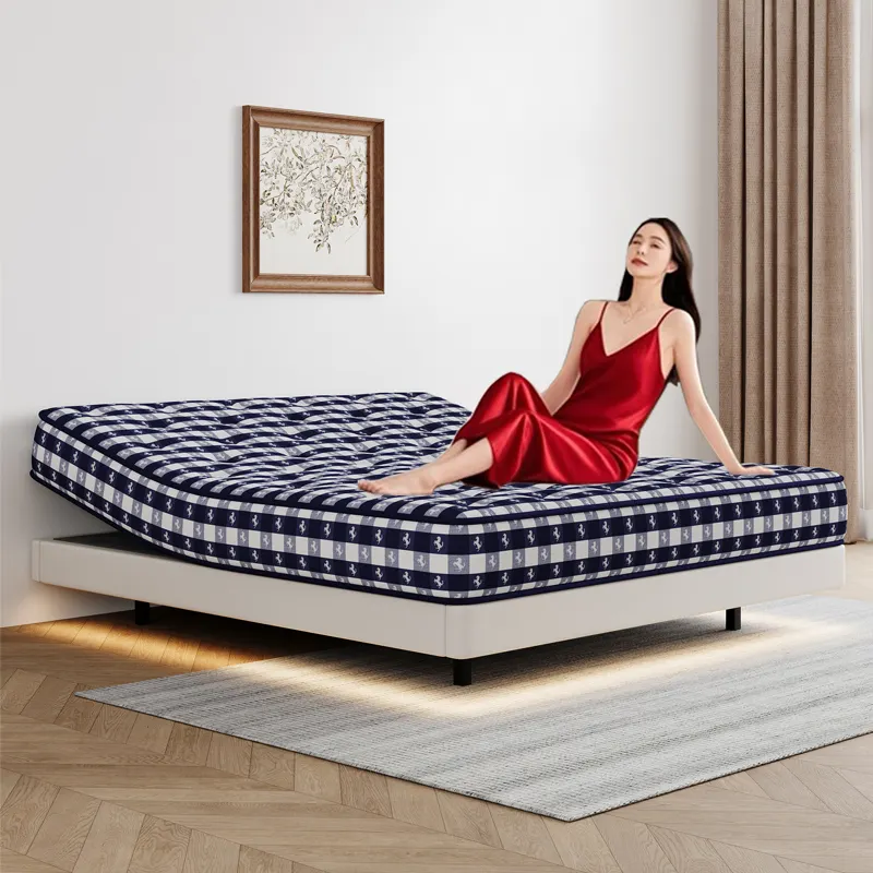 Joony Mattress Luxury Memory Foam Mattress with Custom Services 4