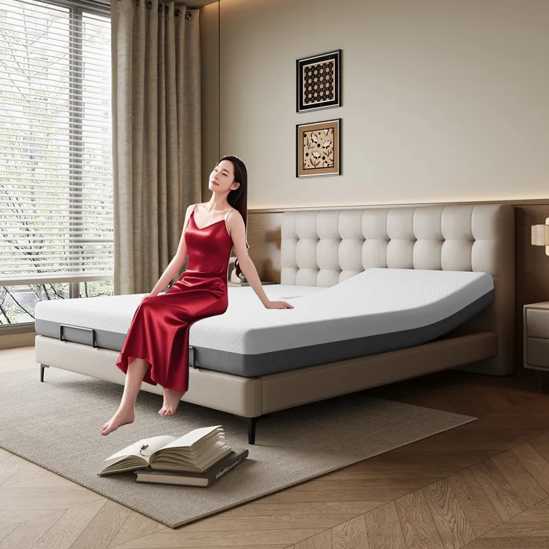 Oem & Odm High End Luxury Mattress Price List 5