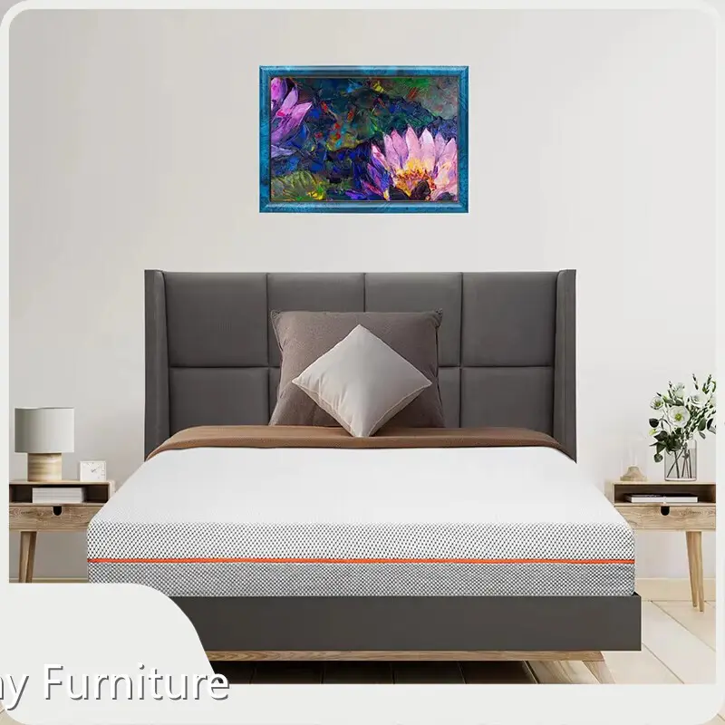 For Apartment Luxury Foam Mattress by Joony Mattress 1