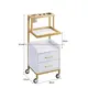 High End Beauty Salon Trolley Cart Modern design for Sale 3