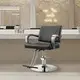 Beauty Salon Chairs for Sale for Workplace Heavy Duty Hydraulic Pumpwith Custom Services 4