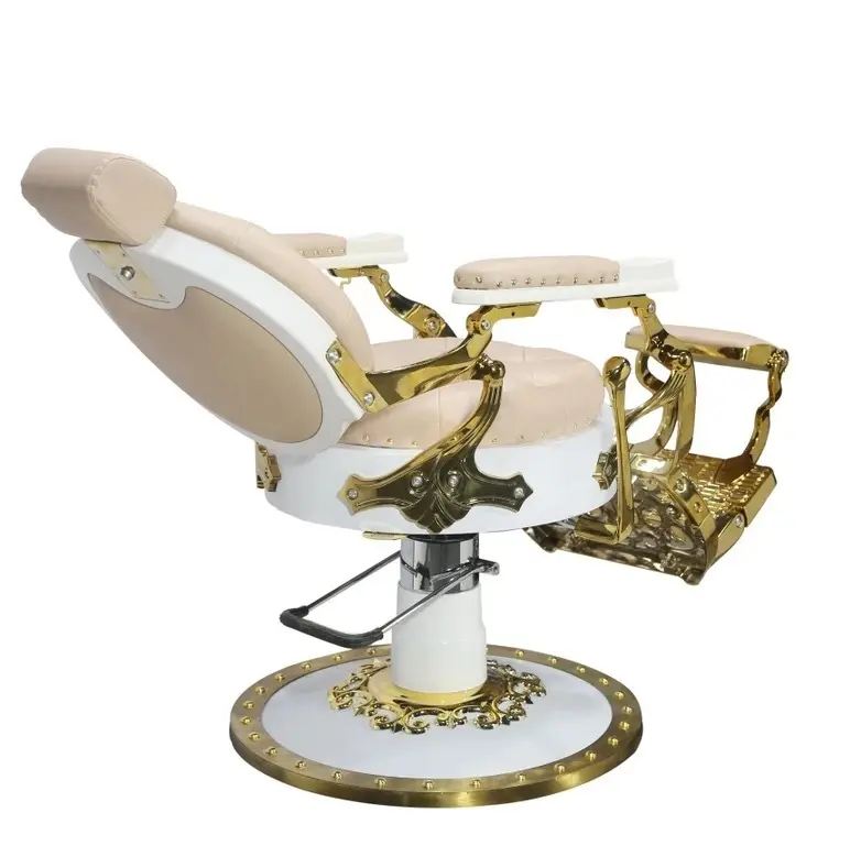 Newestbarber Chairs for Sell Fast Delivery FengSheng 4