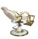 Newestbarber Chairs for Sell Fast Delivery FengSheng 4