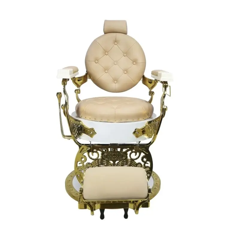 Newestbarber Chairs for Sell Fast Delivery FengSheng 5