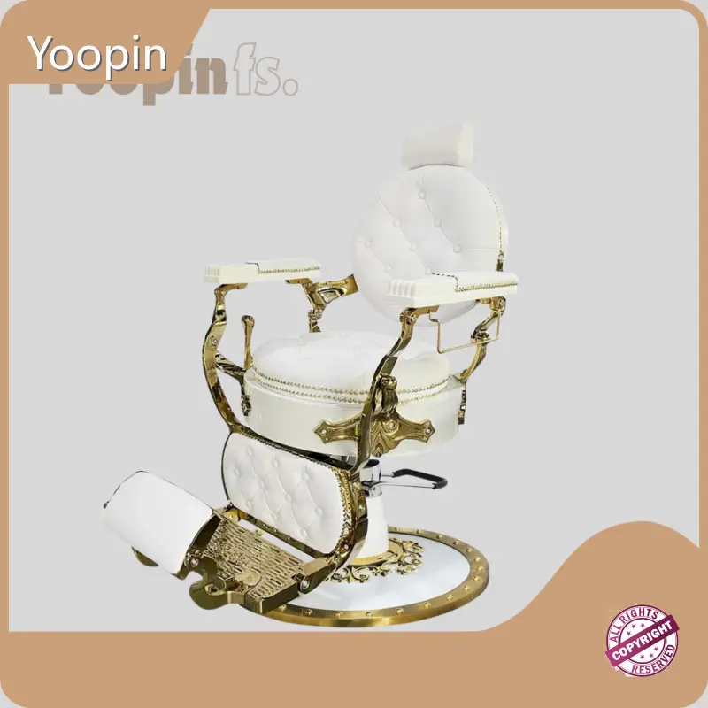 New Beauty Chairs Factory Price Bulk Production 1