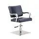 Beauty Salon Chairs for Sale for Workplace Heavy Duty Hydraulic Pumpwith Custom Services 2