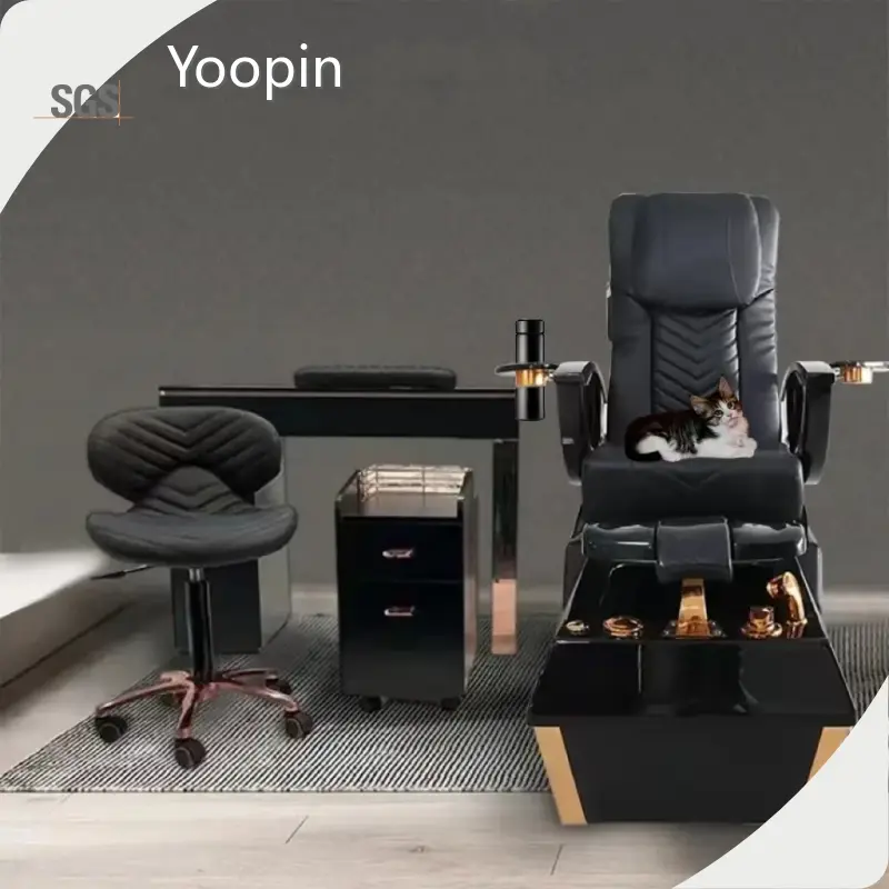 Latest All Purpose Chairs Beauty Salon Price List 1
