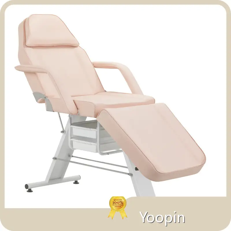 Cost-effectivesalon Beauty Bed for Business Beauty Massage Facial Bed Modern 1