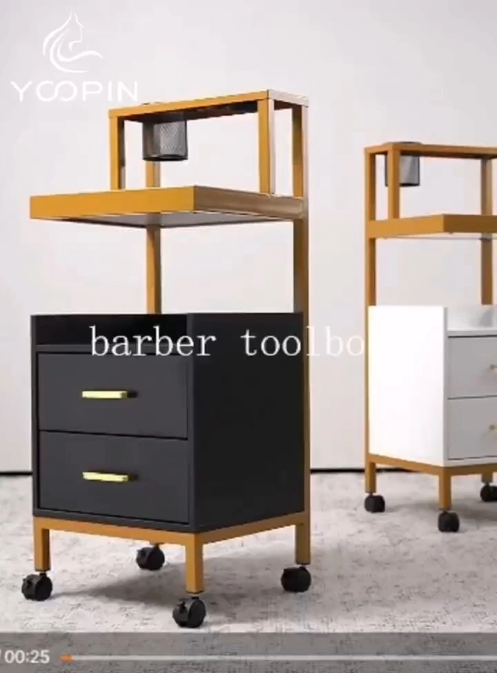 Luxury White Mobile High quality Hair Salon Styling Car Beauty Salon Tool Car Hair Salon Trolley 1