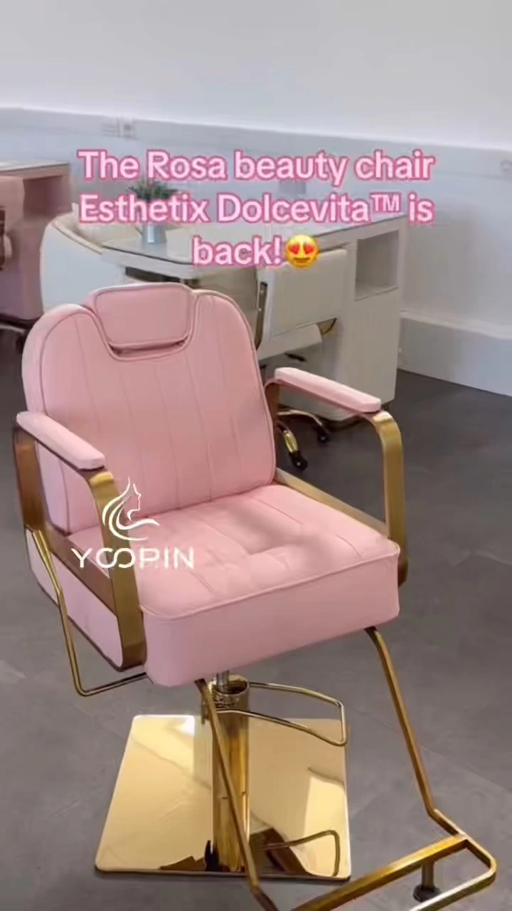 Pink Hot Selling Silla de peluquería para peluquería de peluquería de salón de salón de salón de belleza de elevación de alta calidad de alta calidad 1