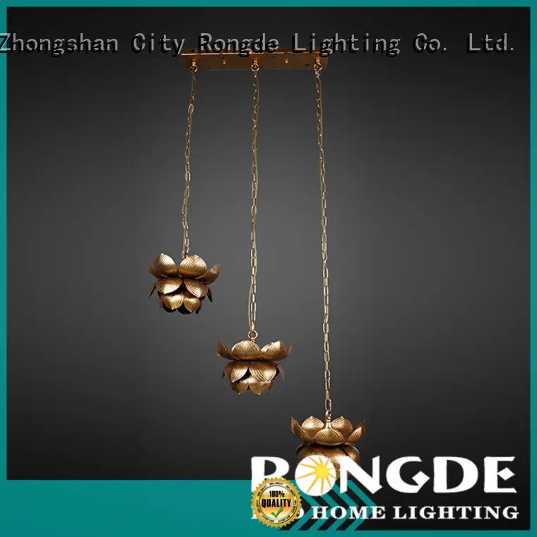 Rongde High-quality light fittings company 1