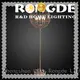 Rongde Latest industrial floor lamp company 1