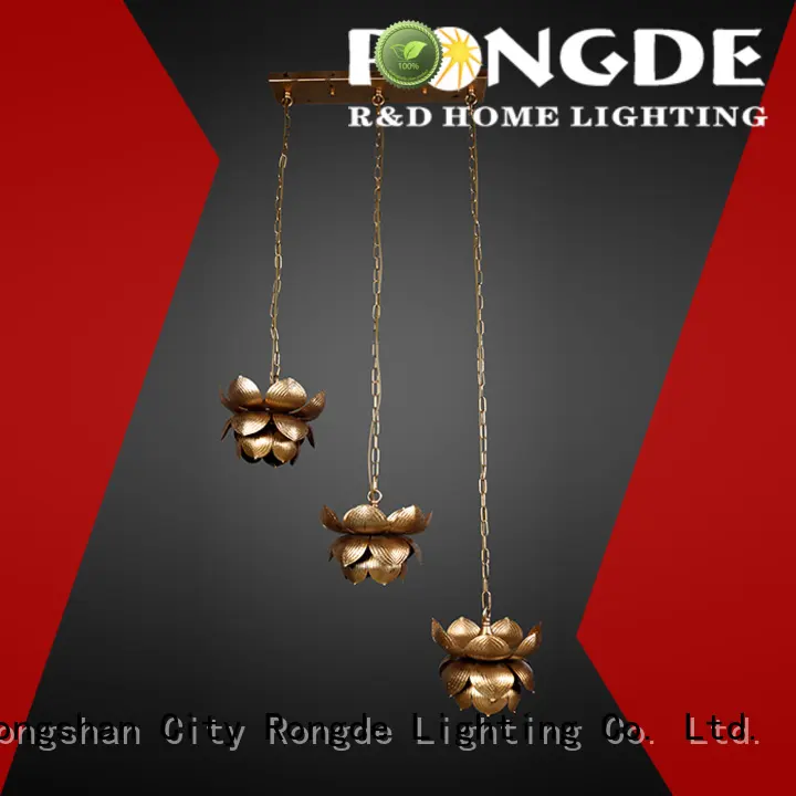 Rongde New pendant lighting Supply 1
