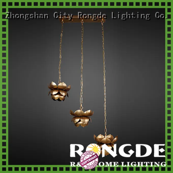 New pendant lighting factory1 1