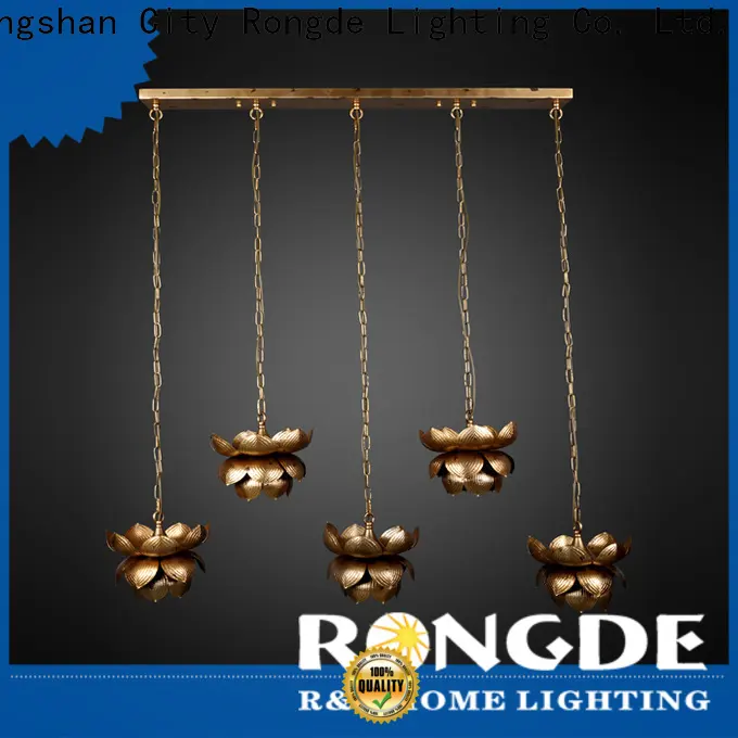 Rongde hanging lights Suppliers 1