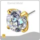 Titanium Body Jewelry Suppliers I 1