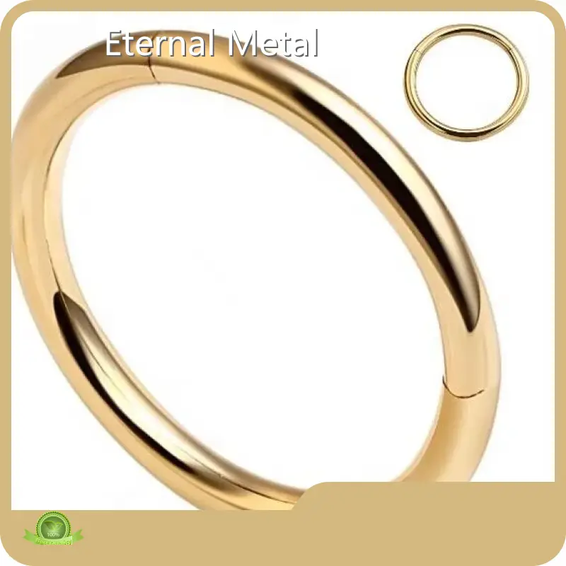 Eternal Metal 14k White Gold Piercing Earrings T/TCompany 1