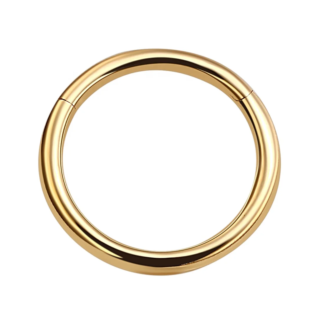 Eternal Metal 14k Solid Gold 18 Gauge Hinged Segment Ring Septum Nose <000000> Earring Piercing Jewelry 8