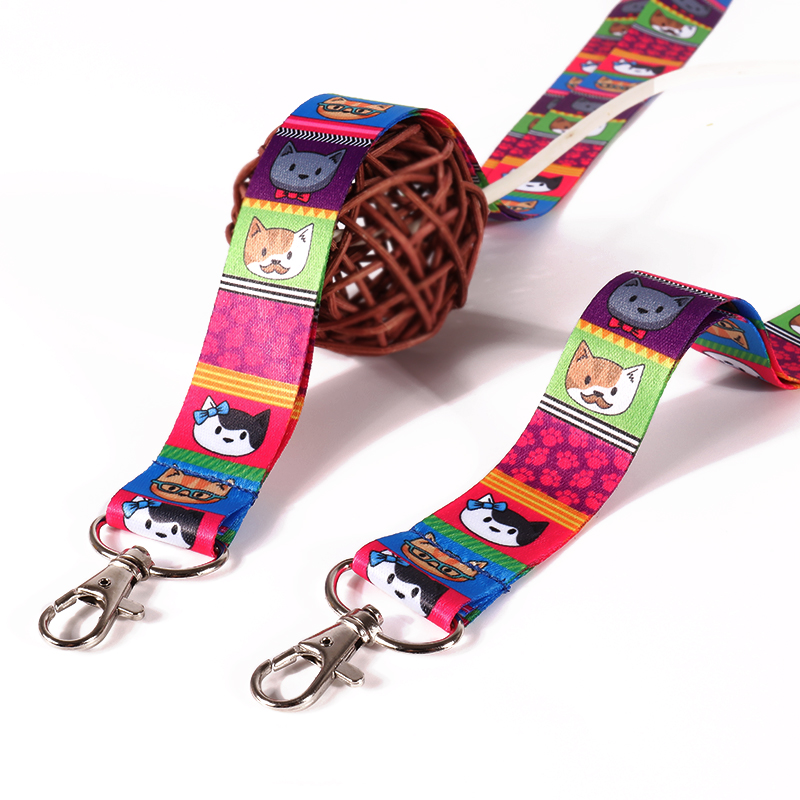 Lanyard