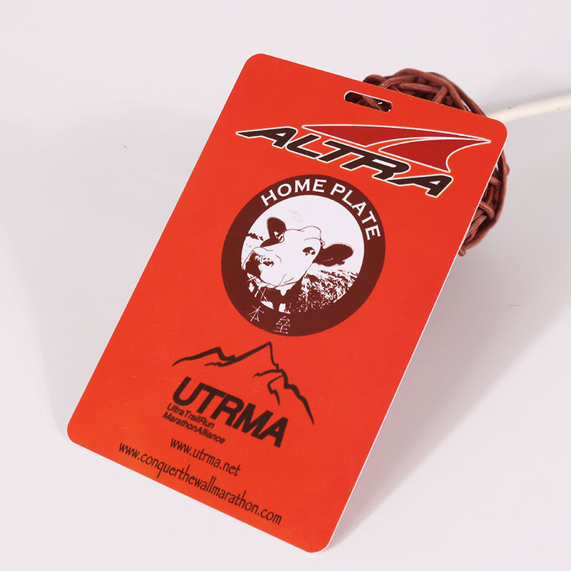 Aangepaste PVC-kaartfabriek uit China Evenementbadges Vip Pass-ID-kaart met sleutelkoord 4
