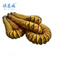 NUOENWEI Flat Spiral PCA Hoses Flat Spiral PCA Hosesmanufacturer 2