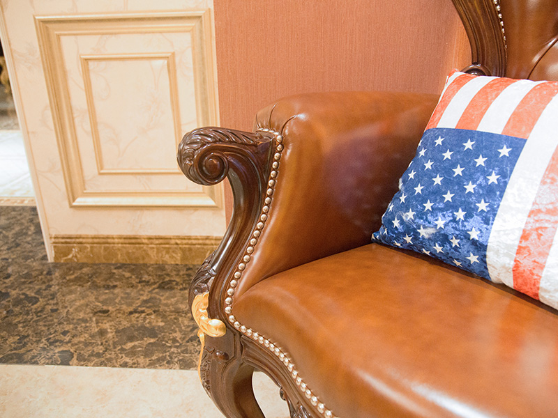 James Bond leather leisure furniture for hotel 3