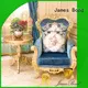 solid wood Classical leisure chair manufacturer for hotel James Bond 1