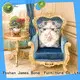 James Bond excellent classic leisure chair directly sale for guest room 1