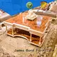 Table basse traditionnelle en bois massif James Bond en gros pour la maison 1