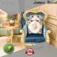 James Bond Top comfortable lounge chair suppliers for guest room 1